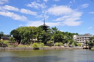 DSC_0210.jpg