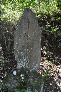 葛城山 登山道02.jpg