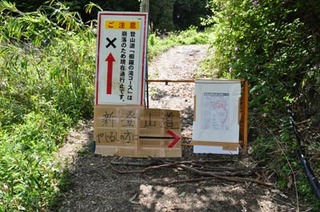 葛城山 登山道03.jpg