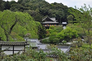 長谷寺5-9.jpg