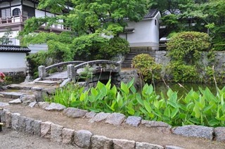 矢田寺.jpg