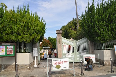 家具通販 赤や デジイチもってテクテク日記 奈良女子大学の学祭 恋都祭 60 に行ってきました Nrj48 メイド喫茶ねこまっしぐら