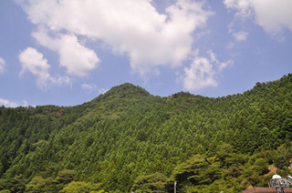 猿谷ダム風景山.jpg